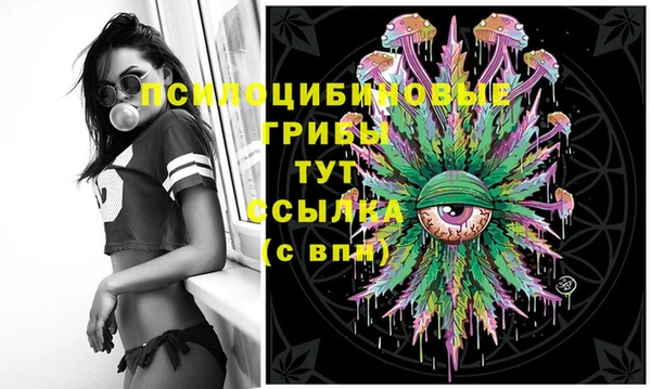 твердый Абаза
