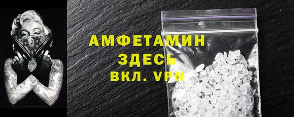 мет Алексин
