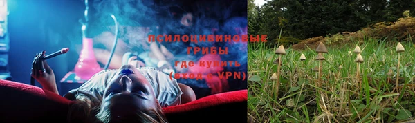 твердый Алексеевка