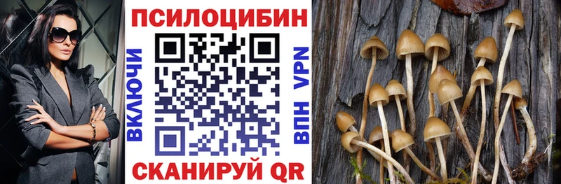 kraken ССЫЛКА  это официальный сайт  Шумиха  Псилоцибиновые грибы GOLDEN TEACHER  закладки 